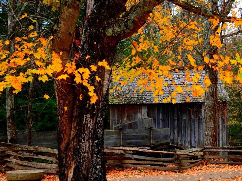 管理层表态, 乌加特等核