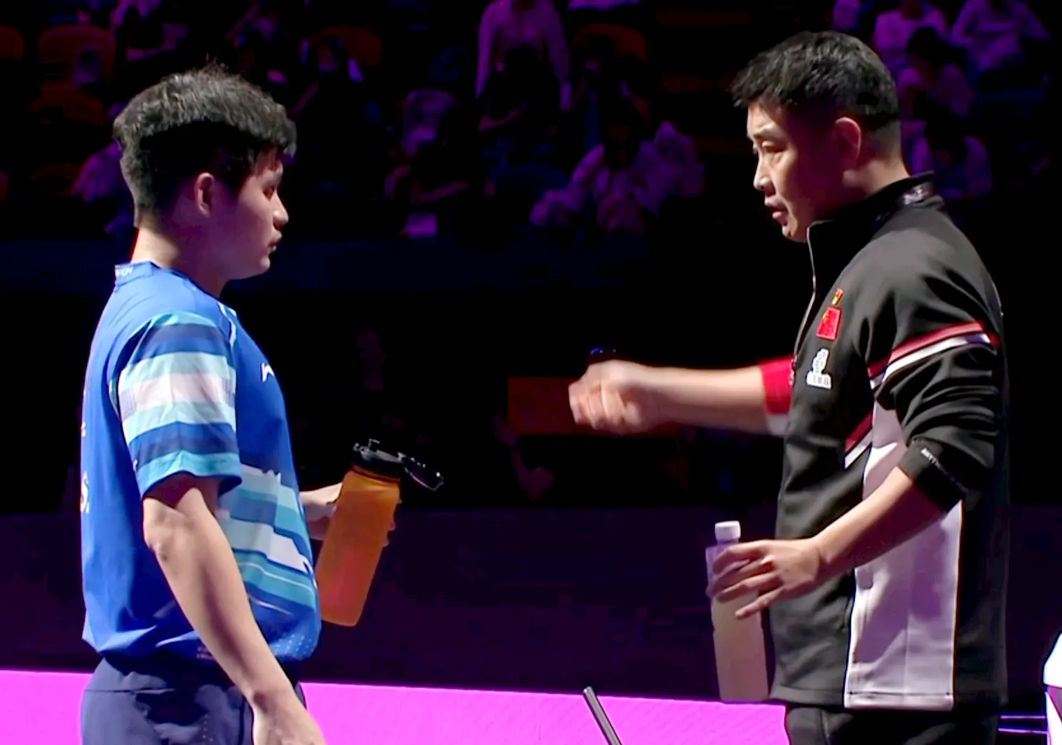 msn, 德国 msn, 德国