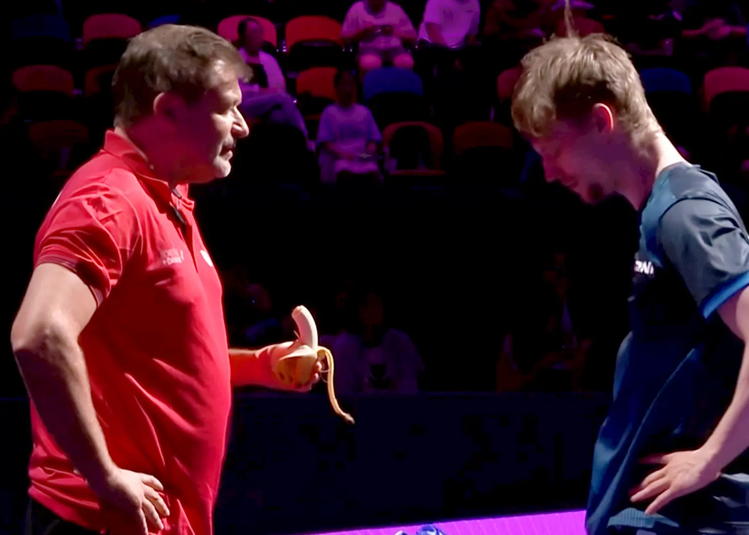 amp, 雷加德 amp, 雷加德